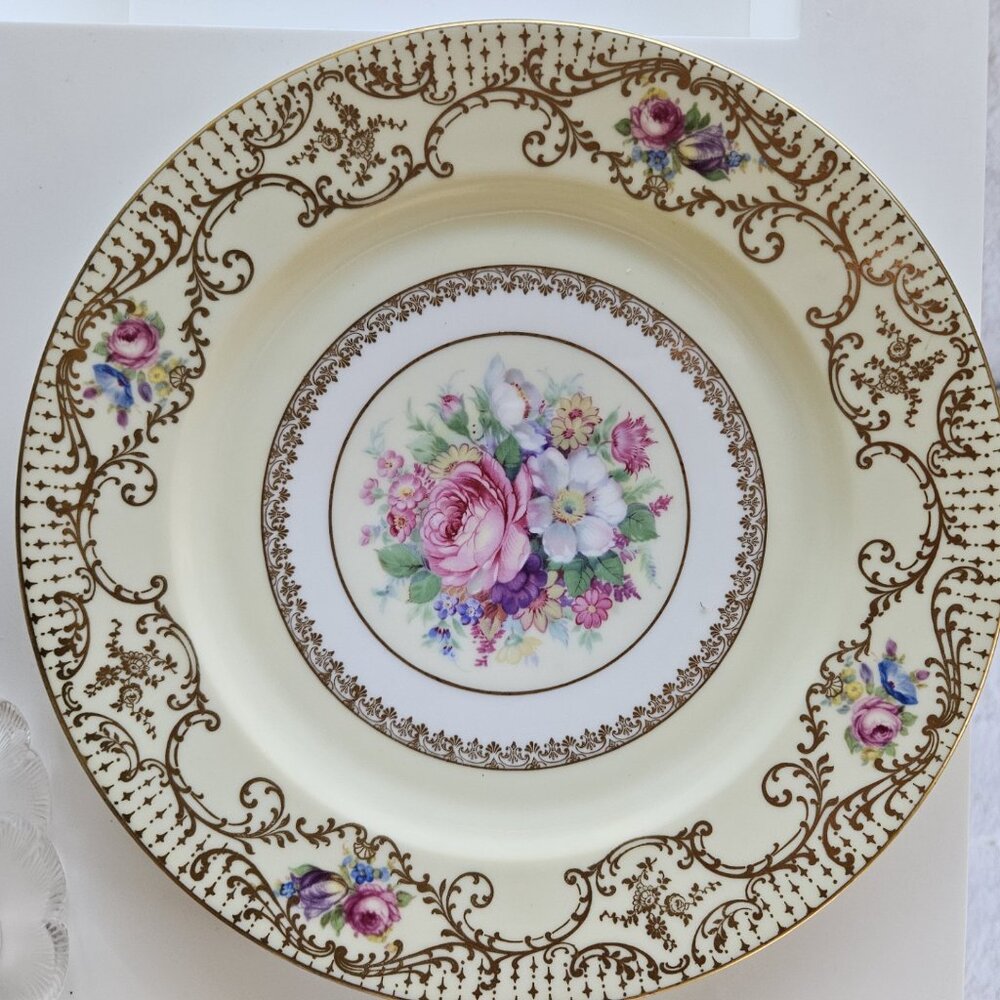 Rosenthal Continental Dinner Plates 8 Count